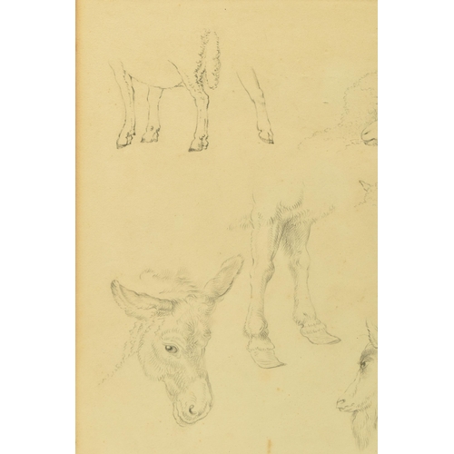 302 - CIRCLE OF ROBERT HILLS (1796-1844), ELEVEN STUDIES OF ANIMALS ON ONE SHEET, no visible signature, at... 