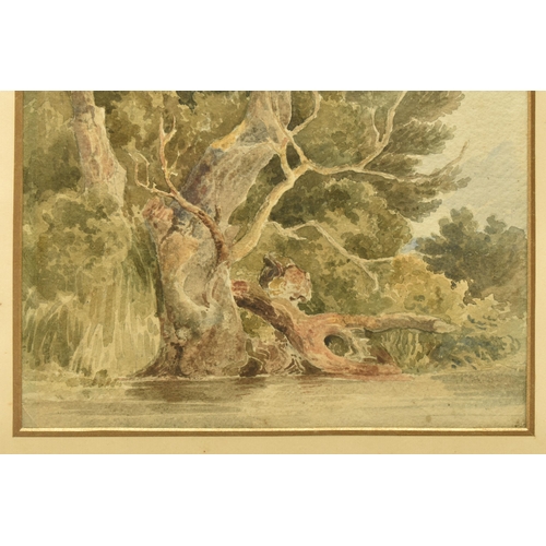 303 - CIRCLE OF SAMUEL PROUT (1783-1852), LANDSCAPE WITH LARGE TREE BESIDE A RIVER, no visible signature, ... 