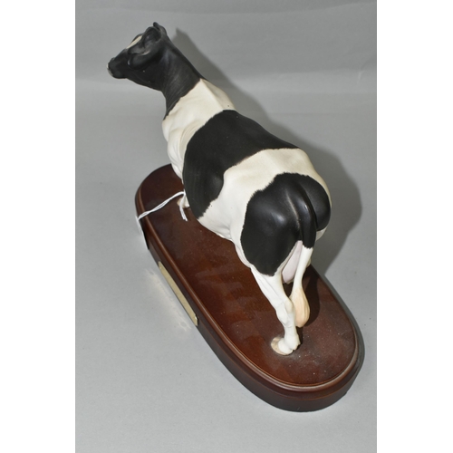 393 - A ROYAL DOULTON FRIESIAN COW, standing on a wooden plinth, model no A2607, height including plinth 2... 