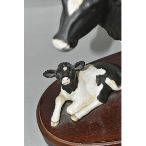 396 - A ROYAL DOULTON FRIESIAN COW AND CALF, standing on a wooden plinth, model no A2607/2690, height incl... 