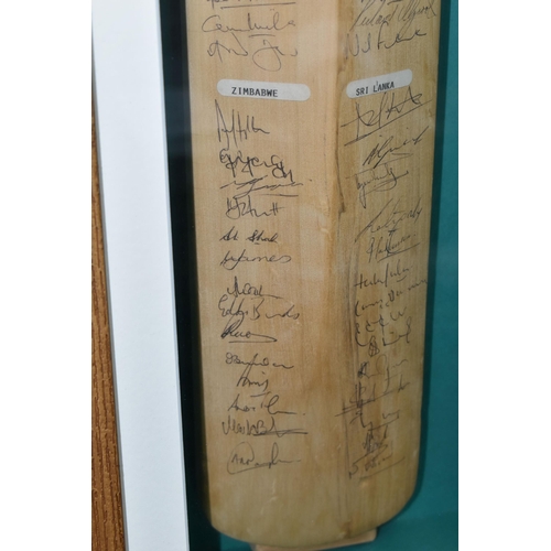 442 - A Cricket Bat in a sealed frame the reverse side is autographed by teams from South Africa, England,... 