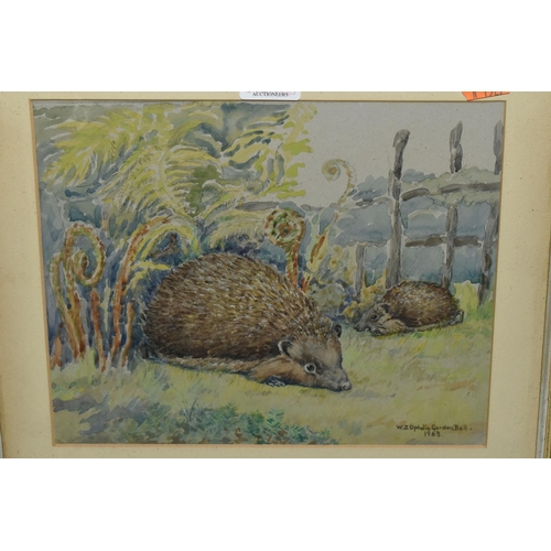 663 - WINIFRED JOAN OPHELIA GORDEN BELL (20TH CENTURY) HEDGEHOGS AND FEARNS', signed and dated 1963 bottom... 