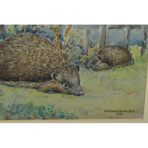 663 - WINIFRED JOAN OPHELIA GORDEN BELL (20TH CENTURY) HEDGEHOGS AND FEARNS', signed and dated 1963 bottom... 