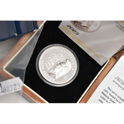 234 - A LARGE PLASTIC BOX OF COINAGE, to include a boxed 2009 .958 silver Britannia, 2008 Christmas Gold A... 