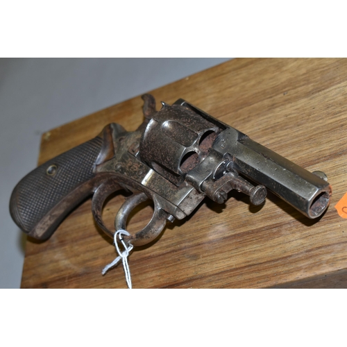 638 - A DEACTIVATED .450'' BELGIAN MADE 'BULL DOG' DESIGN REVOLVER WITH A  2½'' NICKEL PLATED FINISH, bear... 