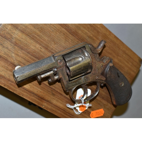 638 - A DEACTIVATED .450'' BELGIAN MADE 'BULL DOG' DESIGN REVOLVER WITH A  2½'' NICKEL PLATED FINISH, bear... 