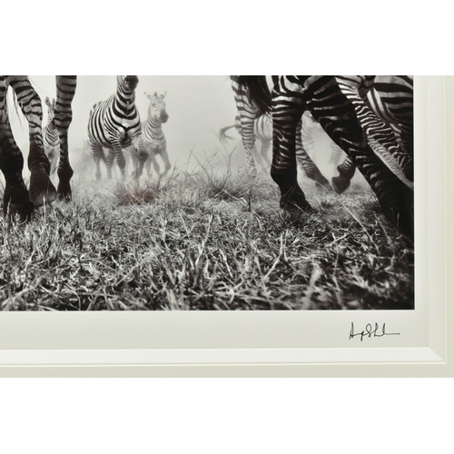 330 - ANUP SHAH (KENYA CONTEMPORARY) 'ONWARD', a signed limited edition photographic print depicting a zeb... 