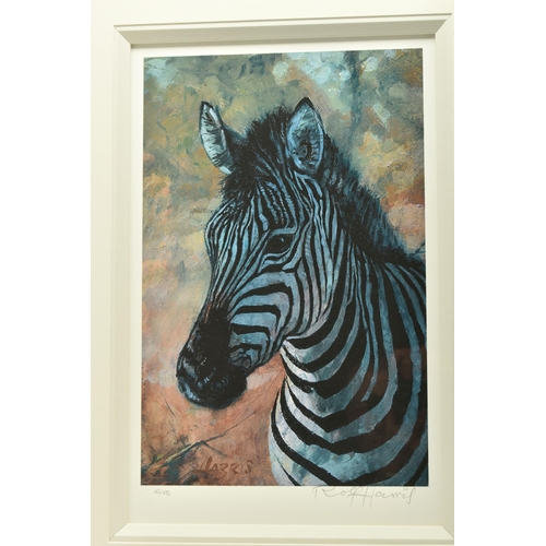 331 - ROLF HARRIS (AUSTRALIA 1930-2023) 'YOUNG ZEBRA', a signed limited edition print on paper, 42/195, wi... 