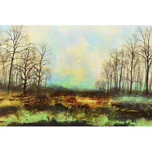 337 - JO STARKEY (BRITISH CONTEMPORARY) 'THE WILD SILENCE', an autumn landscape with bare trees beside a l... 