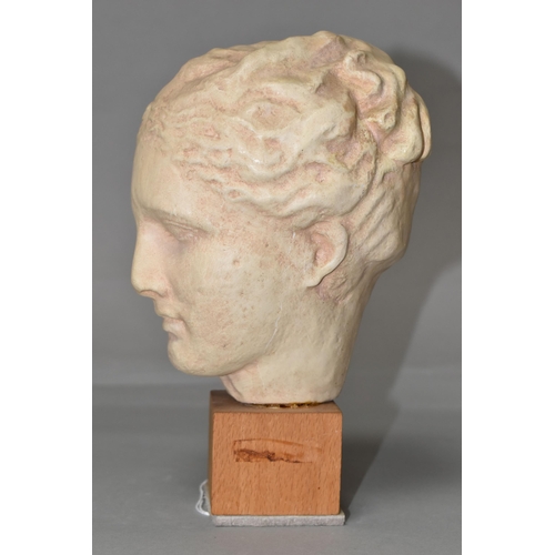 391 - A CLASSICAL STYLE GREEK FEMALE BUST, the painted terracotta head and neck mounted on a small wooden ... 