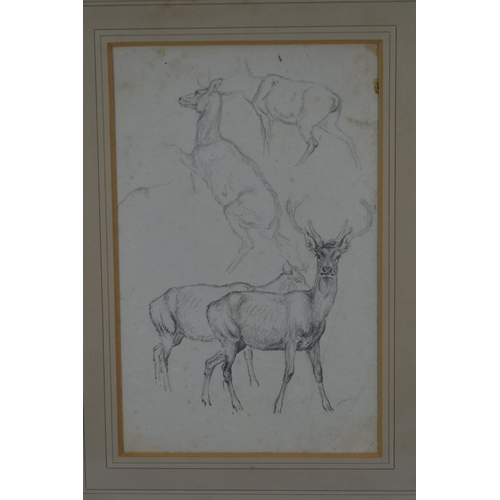 315 - CIRCLE OF ROBERT HILLS (1769-1844) FOUR STUDIES OF DEER, unsigned, pencil on paper, approximate size... 