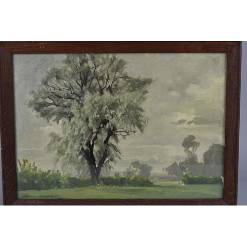 320 - JOHN ALFRED HAGGIS (1897-1968) 'WILLOW TREE', a  landscape featuring a large tree, signed and indist... 