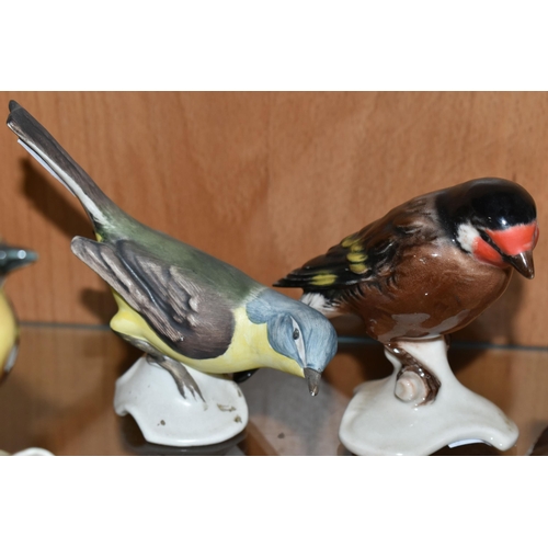 428 - A GROUP OF FIVE BIRD FIGURINES, comprising four Goebel birds 'Yellow Wagtail', 'European Goldfinch',... 