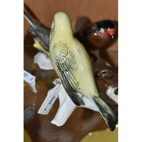 428 - A GROUP OF FIVE BIRD FIGURINES, comprising four Goebel birds 'Yellow Wagtail', 'European Goldfinch',... 