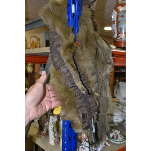 456 - TAXIDERMY SQUIRREL AND FUR STOLE, comprising a taxidermy squirrel posed climbing a tree branch toget... 