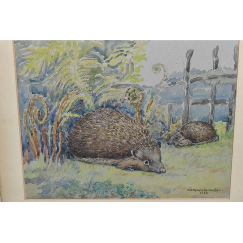 533 - WINIFRED JOAN OPHELIA GORDEN BELL (20TH CENTURY) HEDGEHOGS AND FEARNS', signed and dated 1963 bottom... 