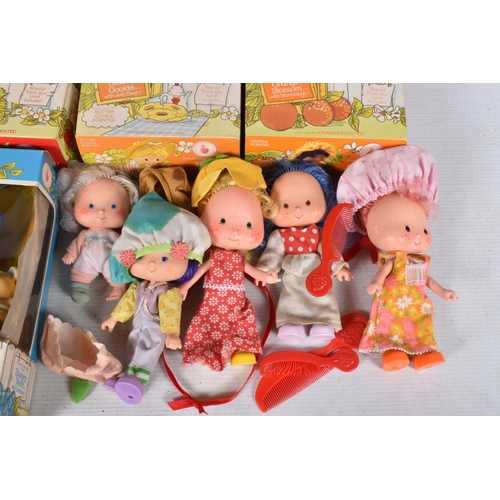 67 - A QUANTITY OF BOXED AND UNBOXED PALITOY STRAWBERRY SHORTCAKE AND FRIENDS DOLLS AND ACCESSORIES, boxe... 