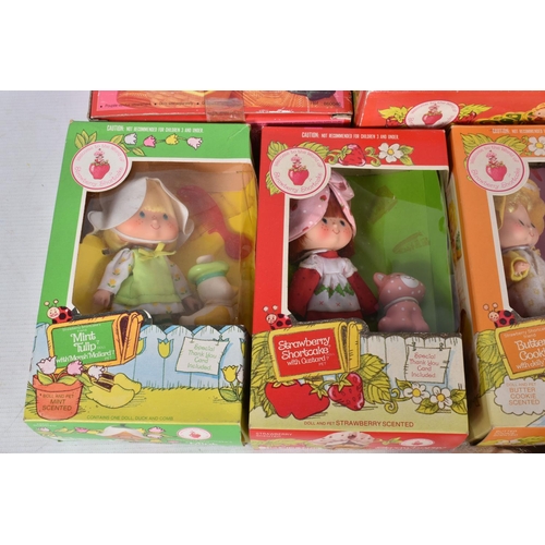 67 - A QUANTITY OF BOXED AND UNBOXED PALITOY STRAWBERRY SHORTCAKE AND FRIENDS DOLLS AND ACCESSORIES, boxe... 