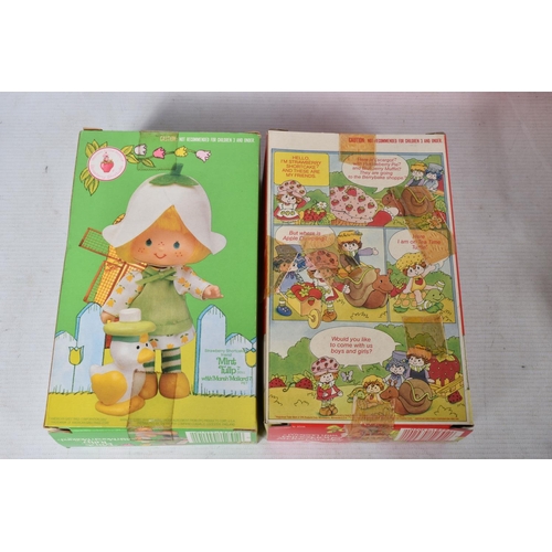 67 - A QUANTITY OF BOXED AND UNBOXED PALITOY STRAWBERRY SHORTCAKE AND FRIENDS DOLLS AND ACCESSORIES, boxe... 