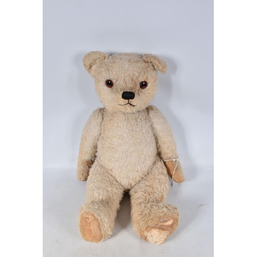 109 - A LARGE WHITE NYLON PLUSH TEDDY BEAR, vertically stitched nose, amber and black plastic eyes, jointe... 