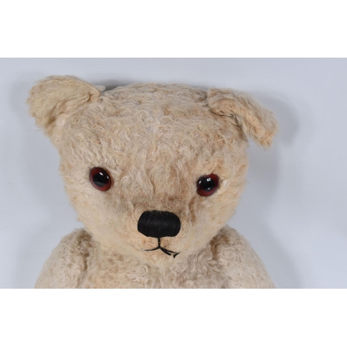 109 - A LARGE WHITE NYLON PLUSH TEDDY BEAR, vertically stitched nose, amber and black plastic eyes, jointe... 