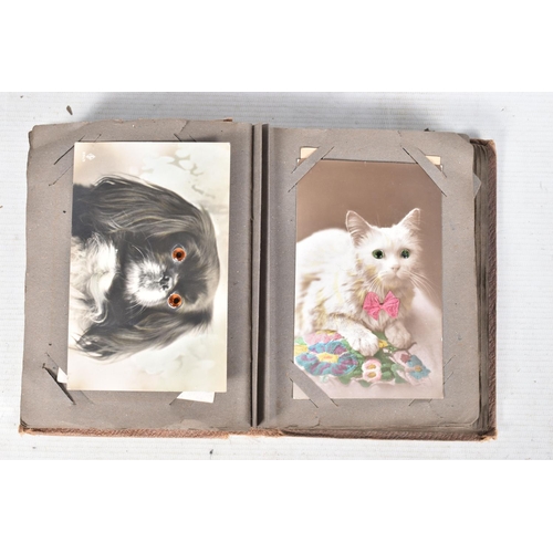 368 - POSTCARDS, Two unusual albums containing approximately 100 Postcards, examples include cartoons or p... 