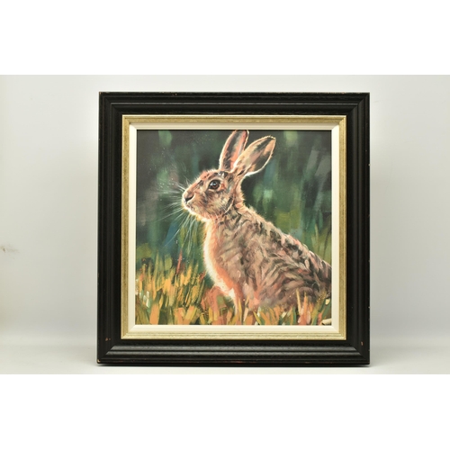 314 - DEBBIE BOON (BRITISH CONTEMPORARY), 'WATCHFUL', a signed limited edition print of a rabbit, 57/95 wi... 