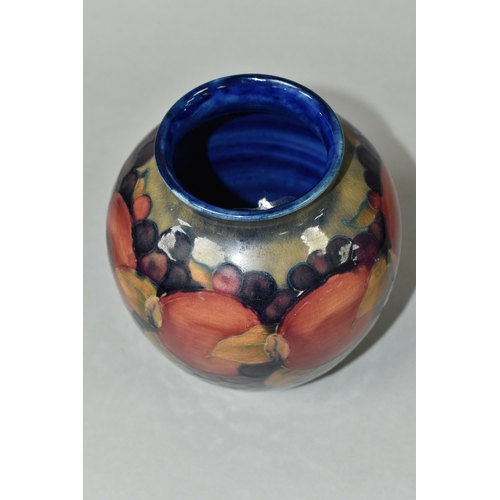 419 - A MOORCROFT POTTERY BALUSTER VASE, tube lined Pomegranate pattern on a navy blue ground, painted and... 