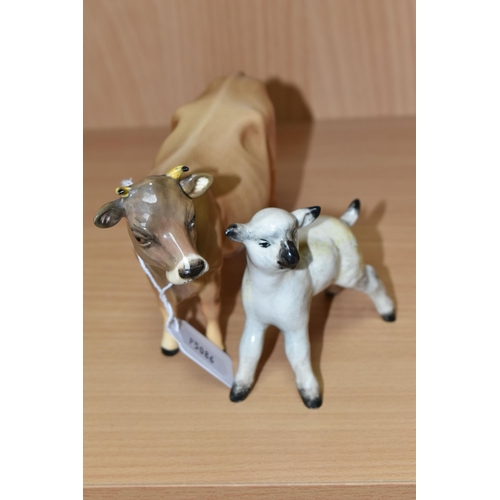 436 - TWO BESWICK FARM ANIMAL FIGURES, comprising Jersey Cow Champion 'Newton Tinkle' model no 1345, heigh... 