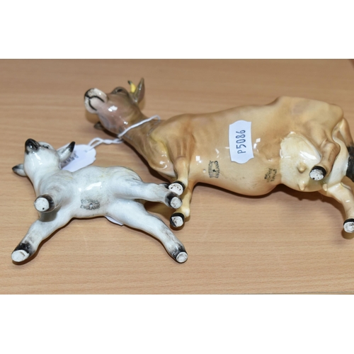 436 - TWO BESWICK FARM ANIMAL FIGURES, comprising Jersey Cow Champion 'Newton Tinkle' model no 1345, heigh... 