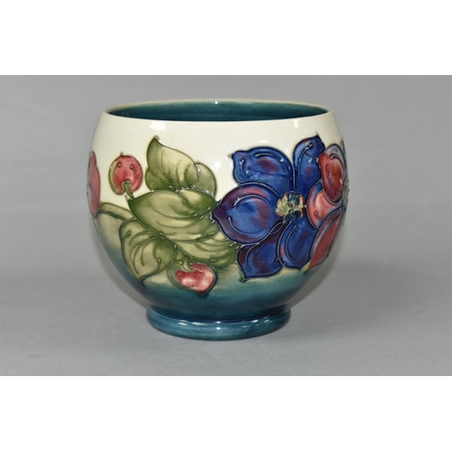 439 - A MOORCROFT POTTERY PLANTER, of rounded form, tube lined with a pink and purple Clematis pattern on ... 