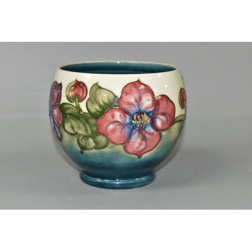 439 - A MOORCROFT POTTERY PLANTER, of rounded form, tube lined with a pink and purple Clematis pattern on ... 