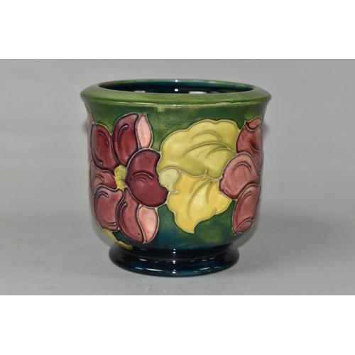 441 - A MOORCROFT POTTERY PLANTER, tube lined with a pink Clematis pattern on a graduated green to turquoi... 