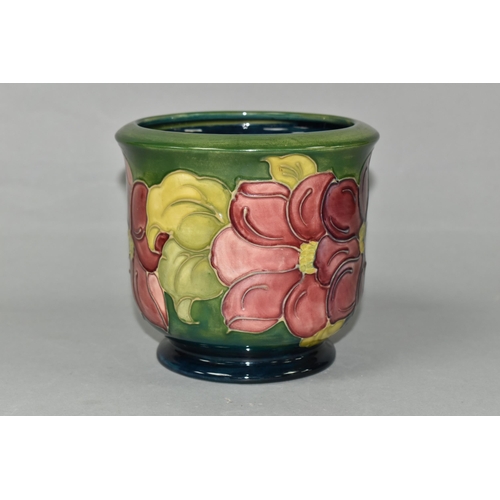 441 - A MOORCROFT POTTERY PLANTER, tube lined with a pink Clematis pattern on a graduated green to turquoi... 