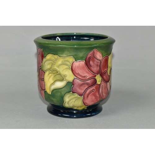 441 - A MOORCROFT POTTERY PLANTER, tube lined with a pink Clematis pattern on a graduated green to turquoi... 