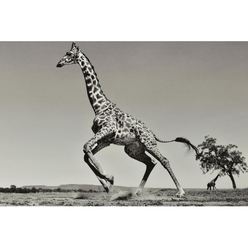 308 - ANUP SHAH (KENYAN CONTEMPORARY) 'DANCE', a signed limited edition photographic print depicting a gir... 