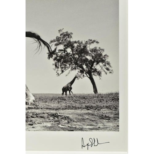 308 - ANUP SHAH (KENYAN CONTEMPORARY) 'DANCE', a signed limited edition photographic print depicting a gir... 