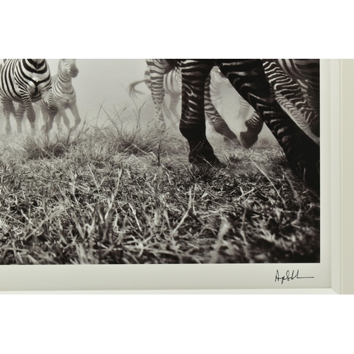 315 - ANUP SHAH (KENYAN CONTEMPORARY) 'ONWARD', a signed limited edition photographic print depicting a ze... 