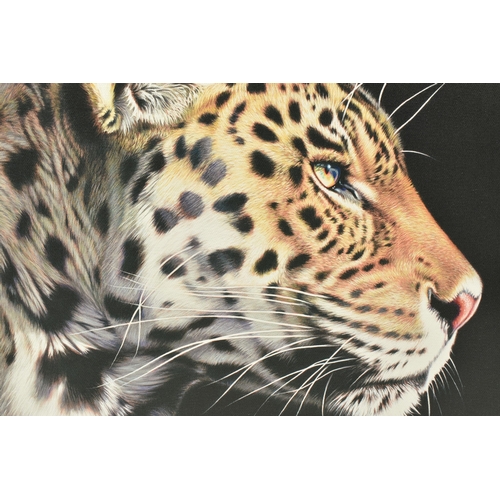 310 - DARRYN EGGLETON (SOUTH AFRICA 1981) 'THE WILD SIDE I', a signed limited edition print on canvas depi... 