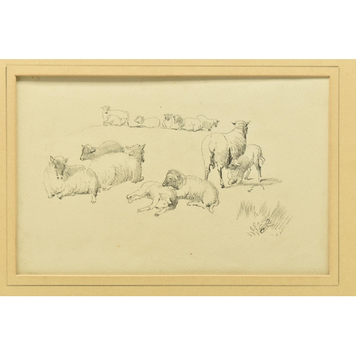 327 - CIRCLE OF DAVID COX (1783-1859) A PAGE FROM A SKETCHBOOK, depicting sheep and lambs, unsigned , penc... 