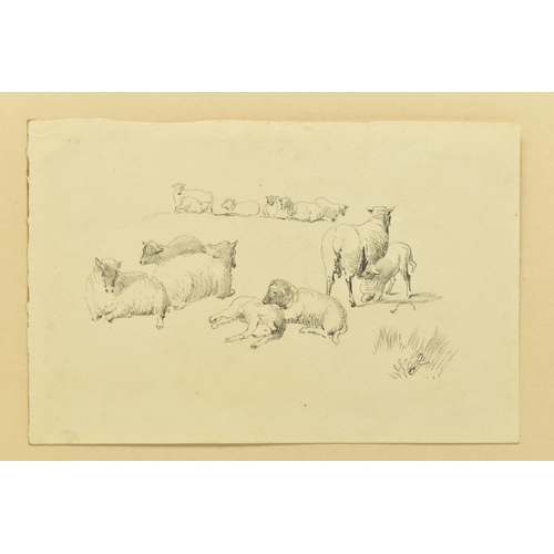 327 - CIRCLE OF DAVID COX (1783-1859) A PAGE FROM A SKETCHBOOK, depicting sheep and lambs, unsigned , penc... 