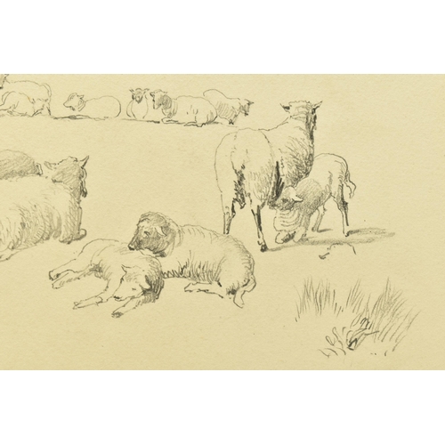 327 - CIRCLE OF DAVID COX (1783-1859) A PAGE FROM A SKETCHBOOK, depicting sheep and lambs, unsigned , penc... 