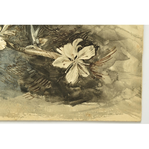 328 - CIRCLE OF JOHN RUSKIN (1819-1900) 'ALMOND BLOSSOM', a botanical study, unsigned, ink and watercolour... 