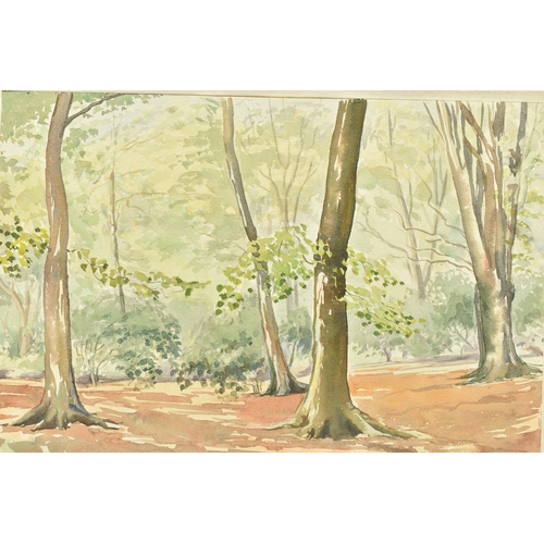 331 - EDWARD WIGLEY (20TH CENTURY) 'EPPING FORREST', a woodland landscape, initialled and dated 1954 botto... 