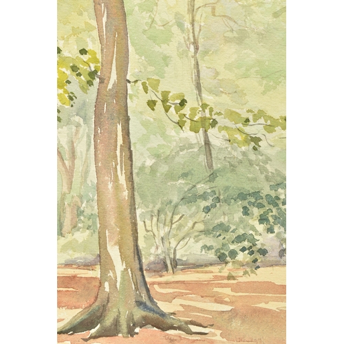 331 - EDWARD WIGLEY (20TH CENTURY) 'EPPING FORREST', a woodland landscape, initialled and dated 1954 botto... 