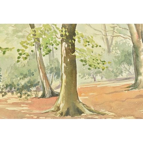 331 - EDWARD WIGLEY (20TH CENTURY) 'EPPING FORREST', a woodland landscape, initialled and dated 1954 botto... 