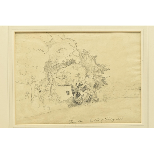 337 - CORNELIUS VARLEY (1781-1873) 'THORN TREE, IRELAND', a sketch depicting a figure standing on a road b... 