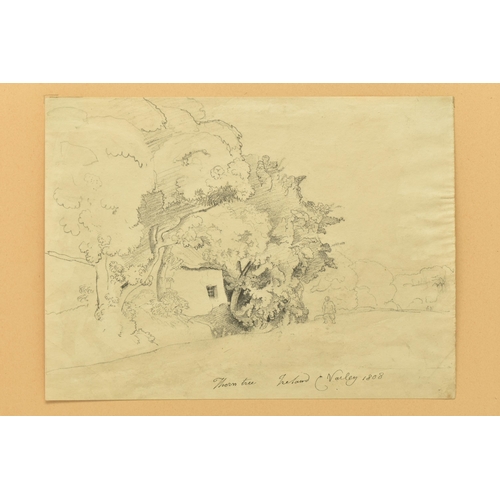 337 - CORNELIUS VARLEY (1781-1873) 'THORN TREE, IRELAND', a sketch depicting a figure standing on a road b... 