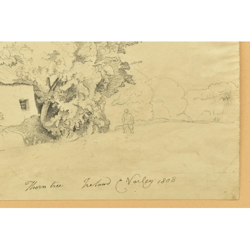 337 - CORNELIUS VARLEY (1781-1873) 'THORN TREE, IRELAND', a sketch depicting a figure standing on a road b... 