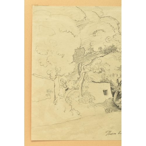 337 - CORNELIUS VARLEY (1781-1873) 'THORN TREE, IRELAND', a sketch depicting a figure standing on a road b... 